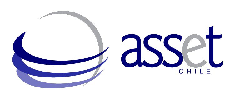 Asset Asset